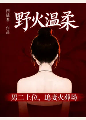 野火温柔小说封面