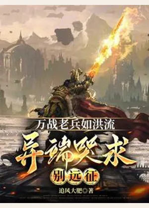 万战老兵如洪流，异端哭求别远征小说封面