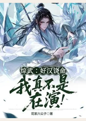 综武：好汉饶命！我真不是在演！小说封面