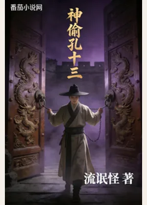 神偷孔十三小说封面