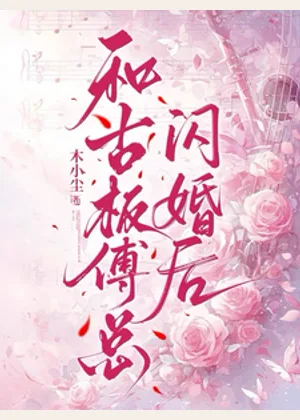 和古板傅总闪婚后小说封面