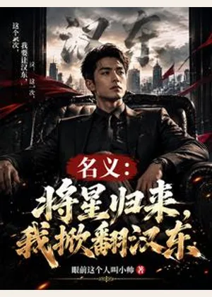 名义：将星归来，我掀翻汉东小说封面