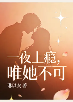 一夜上瘾，唯她不可小说封面