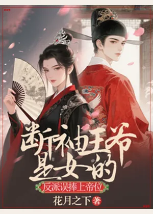 断袖王爷是女的，反派误捧上帝位小说封面
