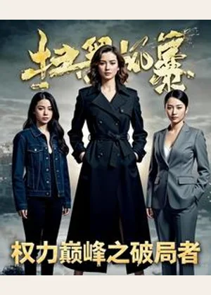 权力巅峰之破局者：扫黑风暴小说封面