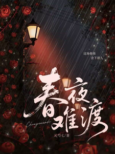 春夜难渡小说封面