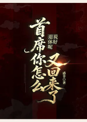 说好退休呢？执法官你怎么回来了小说封面
