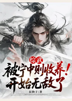 综武：被宁中则收养！开始无敌了小说封面