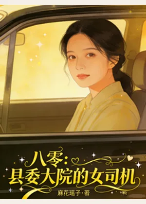 八零：县委大院的女司机小说封面