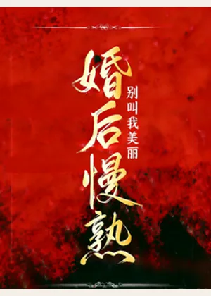 婚后慢熟小说封面