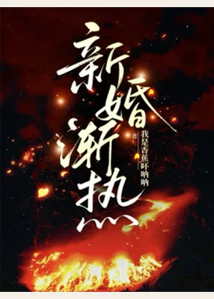 新婚渐热小说封面