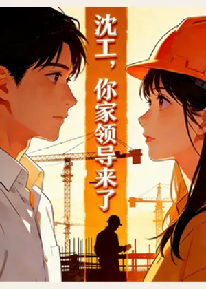 沈工，你家领导来了小说封面