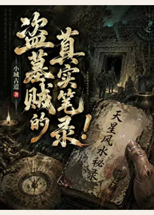盗墓贼的真实笔录小说封面