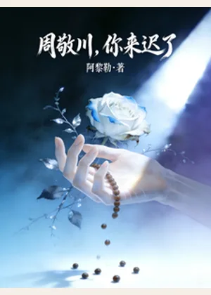 周敬川，你来迟了小说封面