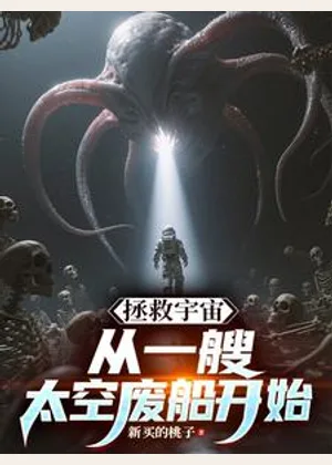 拯救宇宙，从一艘太空废船开始小说封面