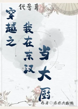 代号鸢穿越之我在东汉当大厨小说封面
