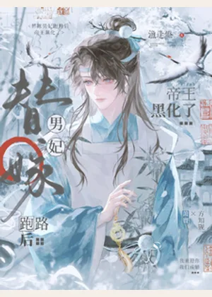 替嫁男妃跑路后，帝王黑化了小说封面