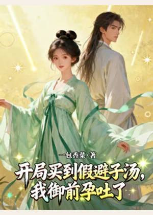 开局买到假避子汤，我御前孕吐了小说封面