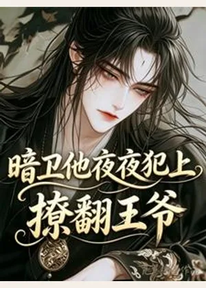 暗卫他夜夜犯上，撩翻王爷小说封面