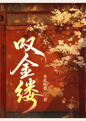 叹金缕小说封面