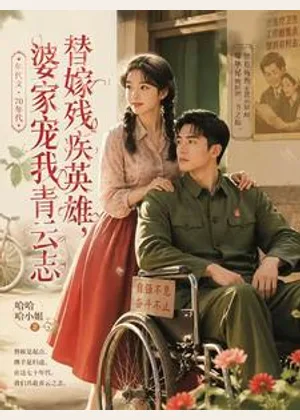 替嫁残疾英雄，婆家宠我青云志小说封面