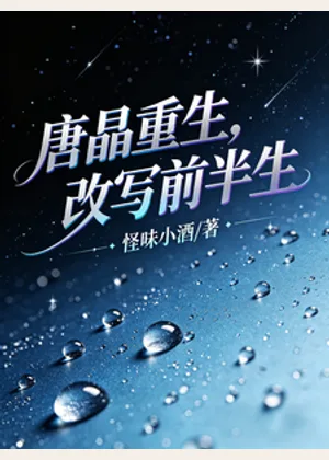 唐晶重生，改写前半生小说封面
