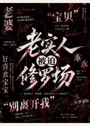 老实人被迫修罗场小说封面