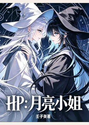 HP：月亮小姐小说封面
