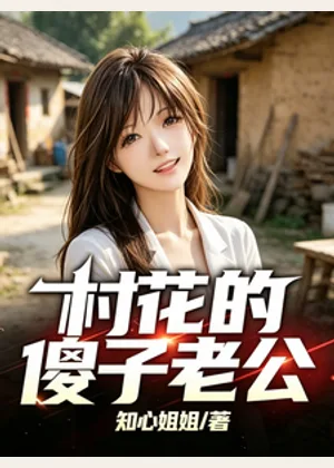 村花的傻子老公小说封面