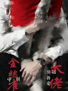 金丝雀守则，别拆穿大佬装瞎小说封面