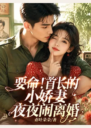 要命！首长的小娇妻夜夜闹离婚小说封面