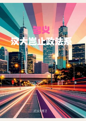 名义：汉大岂止政法系小说封面