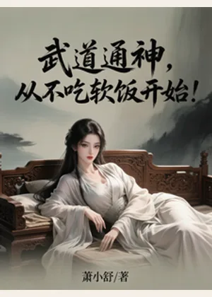武道通神，从不吃软饭开始！小说封面