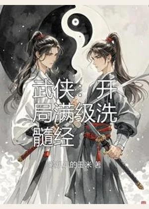 武侠：开局满级洗髓经小说封面