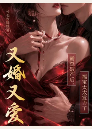 盛太太，玩够了就回家小说封面