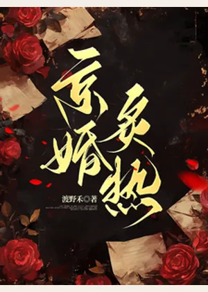 京婚炙热小说封面