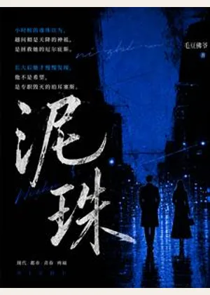 泥珠小说封面