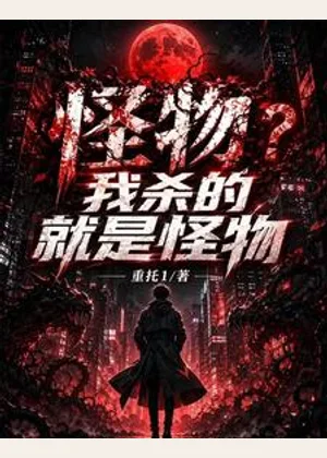 怪物？我杀的就是怪物！小说封面