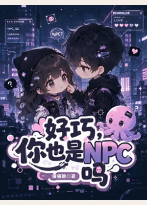 好巧，你也是NPC吗？小说封面