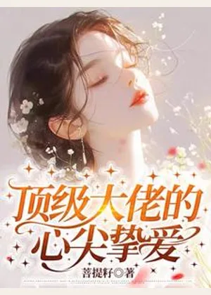 顶级大佬的心尖挚爱小说封面