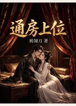 通房上位小说封面