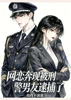 网恋奔现后，被刑警男友逮捕了小说封面
