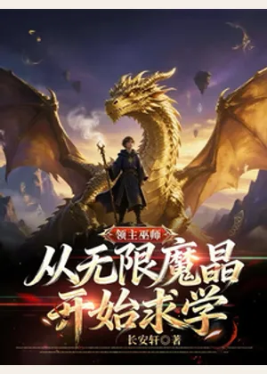 领主巫师：从无限魔晶开始求学！小说封面