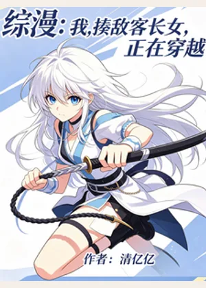 综漫：我，揍敌客长女，正在穿越小说封面
