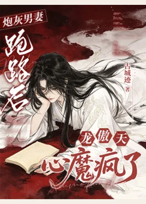 炮灰男妻跑路后，龙傲天心魔疯了小说封面