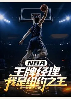 NBA王牌经理：我是纽约之王小说封面