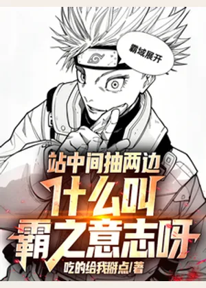 站中间抽两边，什么叫霸之意志呀小说封面