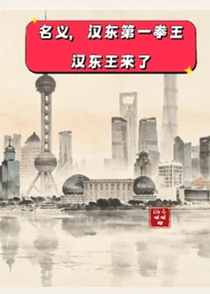 名义，汉东第一拳王，汉东王来了小说封面