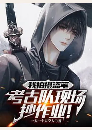 我拍摄盗笔，考古队现场抄作业！小说封面