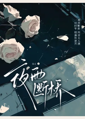 夜雨断桥小说封面
